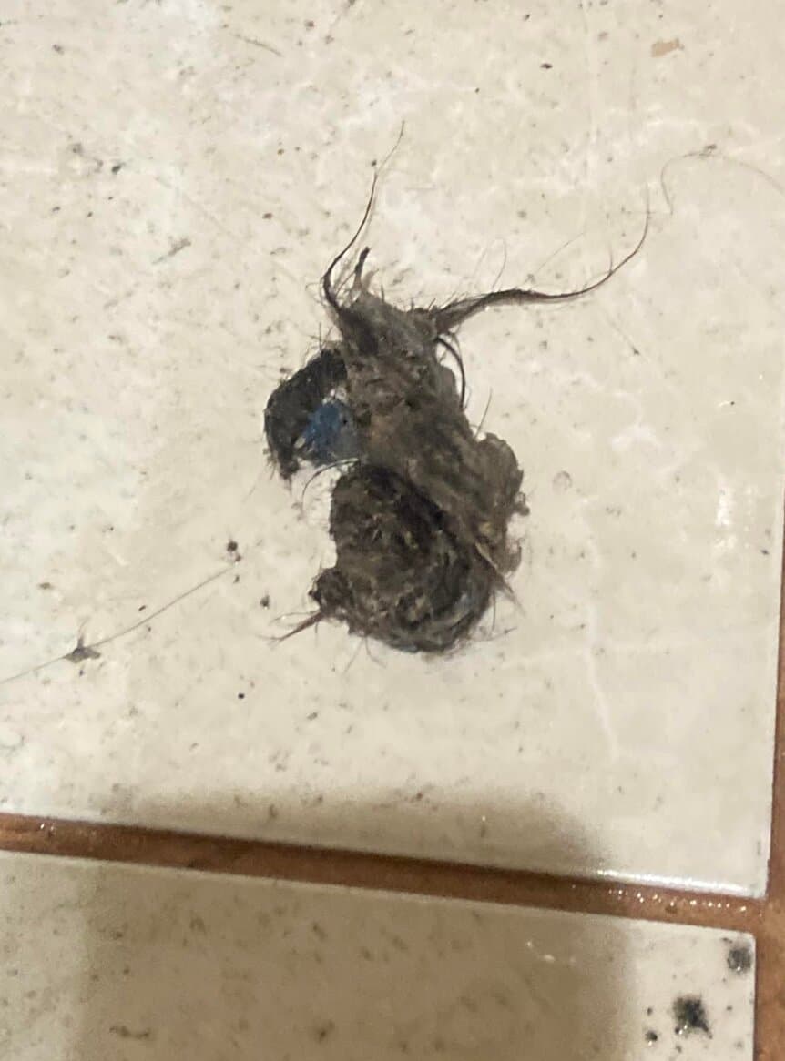 Kundenergebnis Rohrreinigung 11