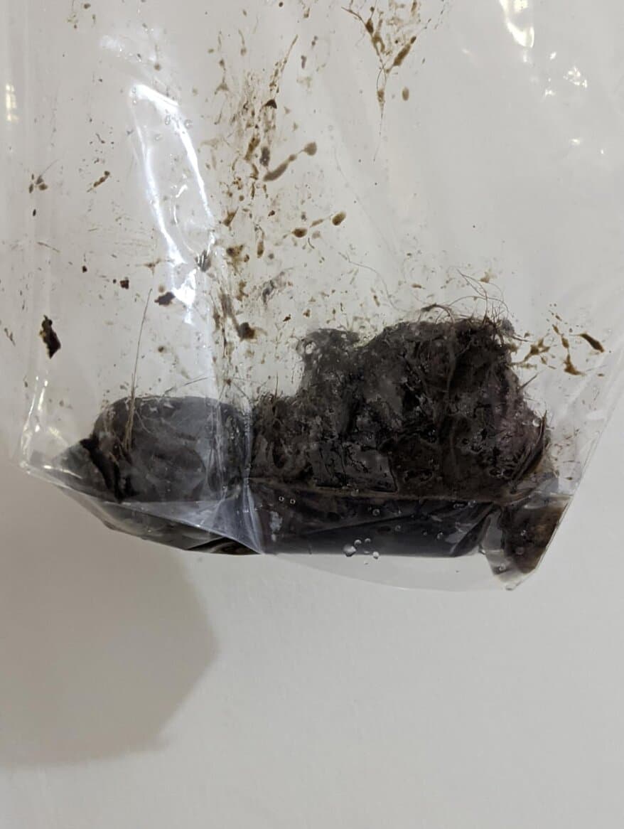 Kundenergebnis Rohrreinigung 9